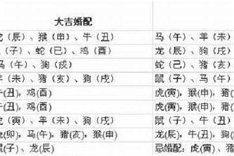 1997年属|97年属什么 97年属什么命